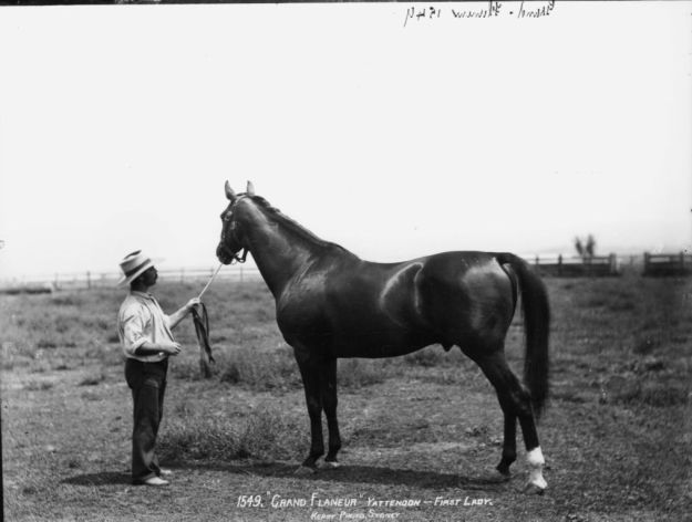 The champion horse after whom Grand Flaneur is named.